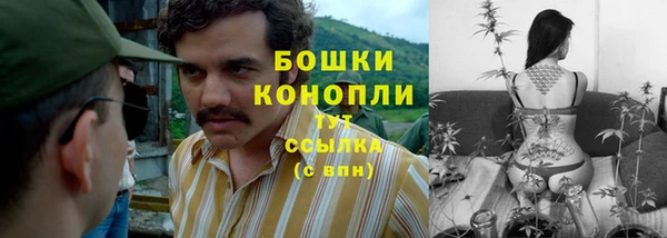 синтетический гашиш Богородицк
